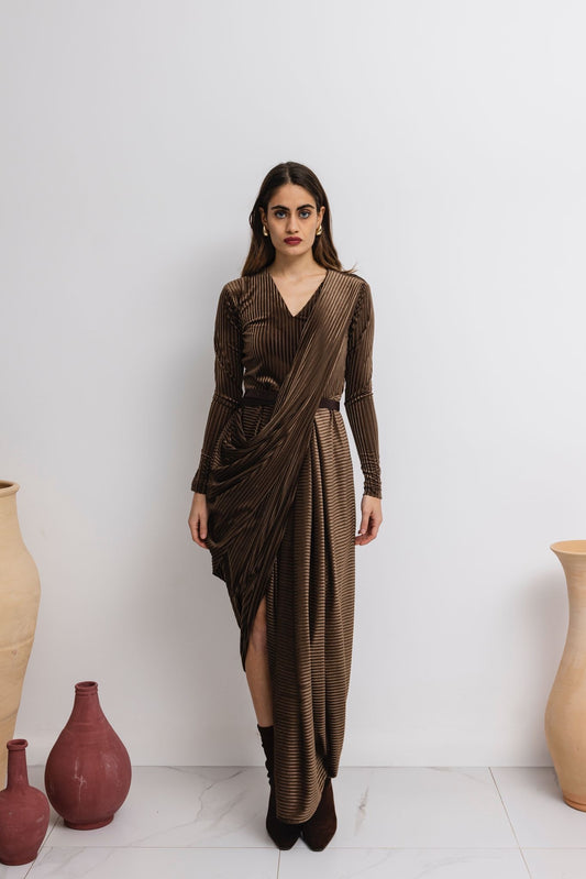 The Brown Saree