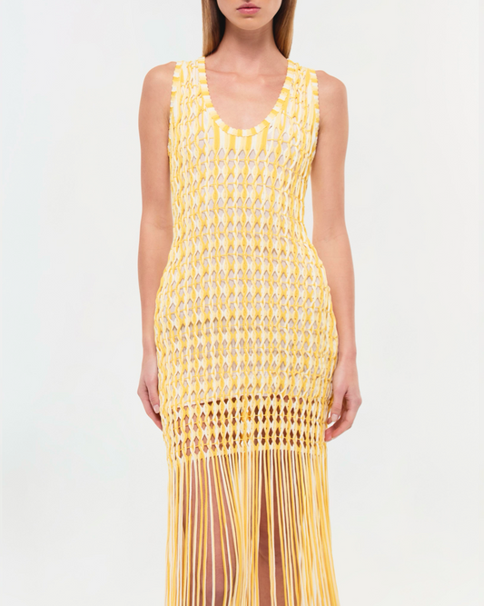 Sunny Sonia Fringe Knit Dress