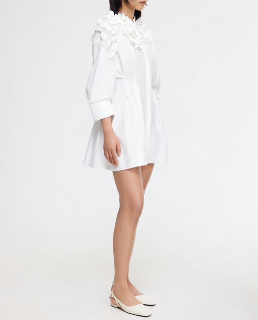 Ivory Rannoch Mini Dress